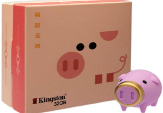 FLASHDISK KINGSTON 32GB SHIO BABI