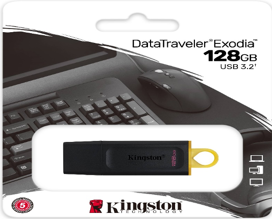 FLASHDISK KINGSTON DTX 128GB