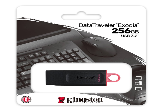 FLASHDISK KINGSTON DTX 256GB