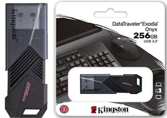FLASHDISK KINGSTON DTX ONYX 256GB