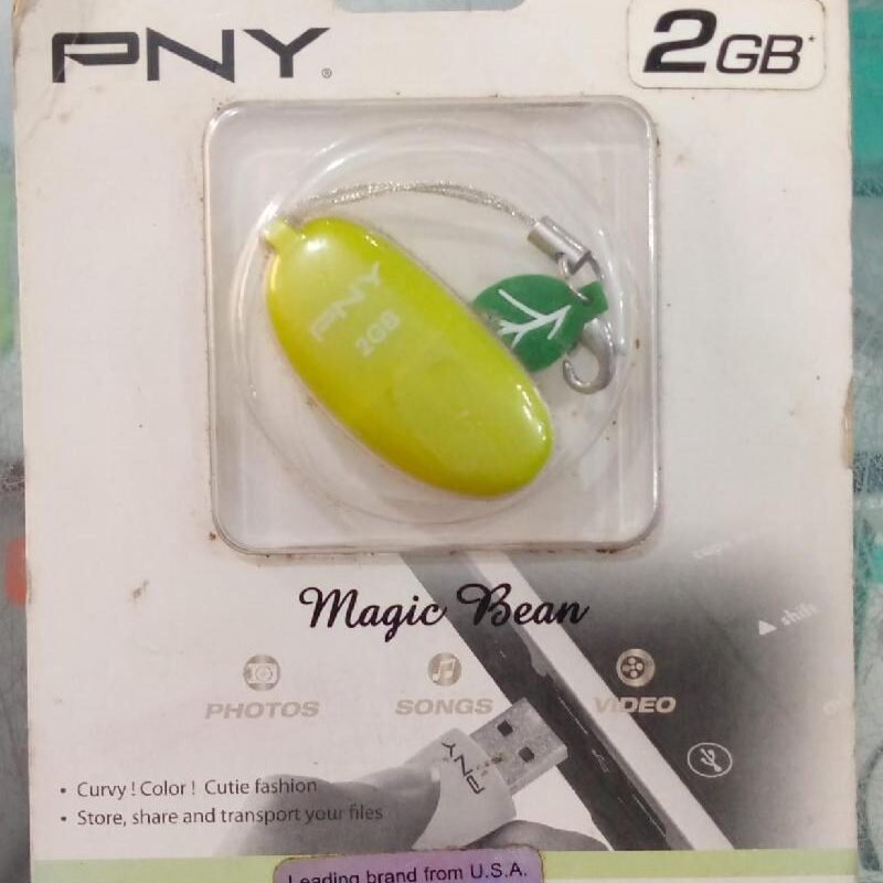 FLASHDISK PNY 2GB