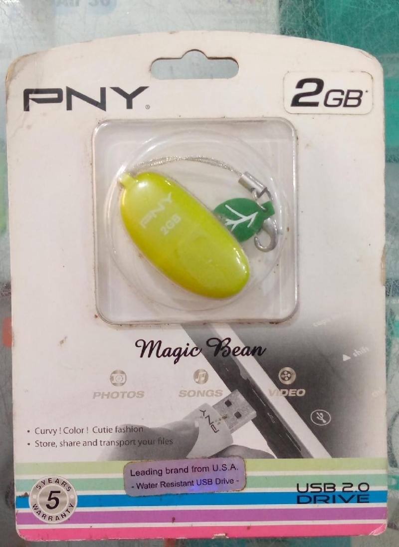 FLASHDISK PNY 2GB