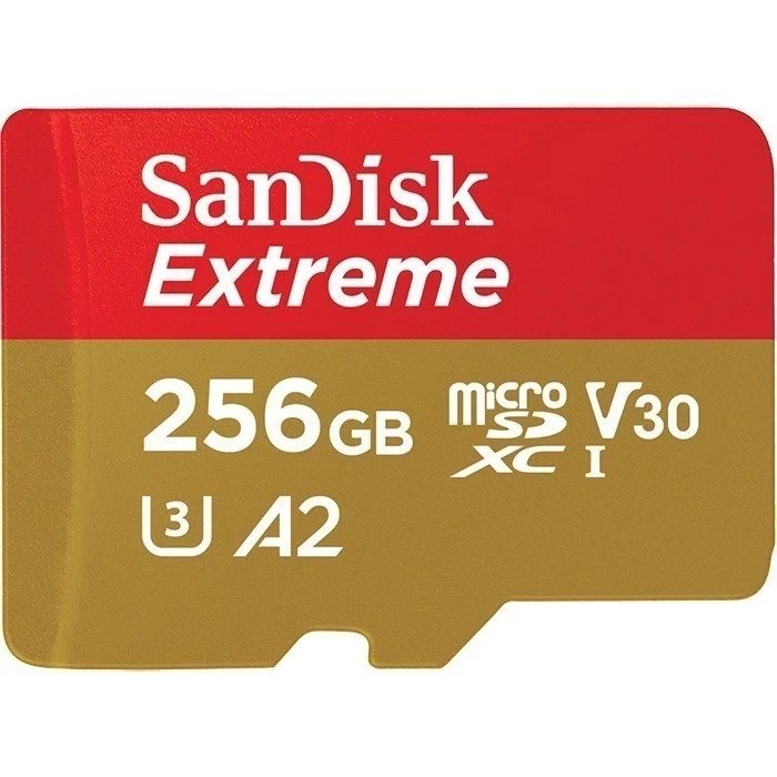 MICRO SD SANDISK EXTREME GO 256GB 240MB/S